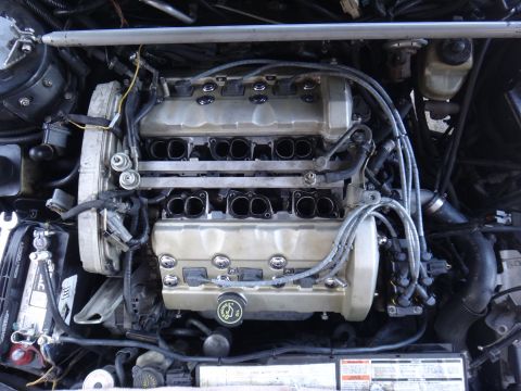 1993 Ford Taurus - Close-up view of a V-engine in an engine bay, showing intake manifold and spark plug wires.
