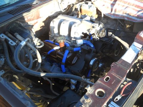 1992 Ford Explorer - Close-up view of a V6 engine with custom blue hoses and a prominent intake manifold.