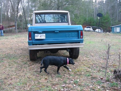 1969 Ford Bronco - A blue Ford pickup truck with a tan top is parked in a grassy yard with a dog in front.