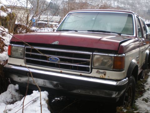 1989 Ford Bronco photo