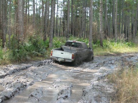 1991 Ford Bronco - A white pickup truck navigates a muddy trail through a wooded area, with its tires deep in the mire.
