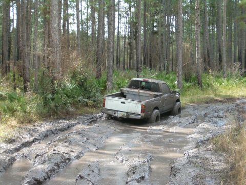 1991 Ford Bronco - A gray pickup truck is stuck in a muddy trail surrounded by trees.