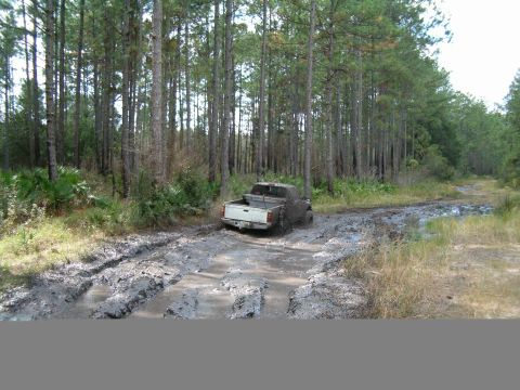 1991 Ford Bronco - A pickup truck navigates a difficult muddy path through a dense forest.