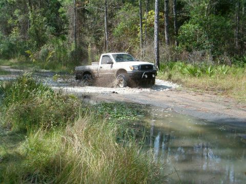 1991 Ford Bronco - Pickup truck navigating a muddy trail with water and vegetation surrounding it.