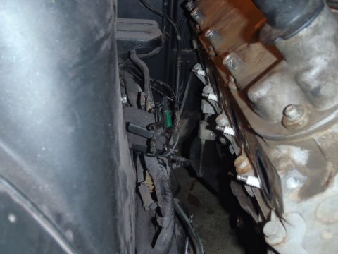1978 Nissan 300ZX - Close-up view of spark plugs and wiring within an engine bay.