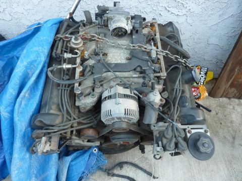 1995 Ford Thunderbird photo