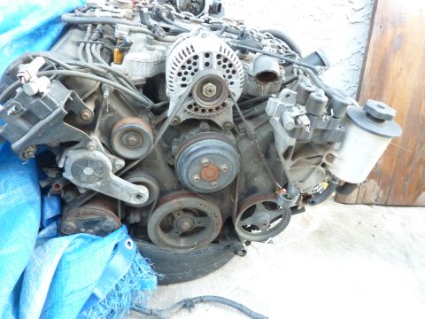 1995 Ford Thunderbird photo