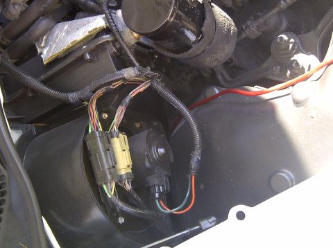 2000 Ford Crown Victoria - Engine bay wiring harness and components, including connectors and black plastic housing.