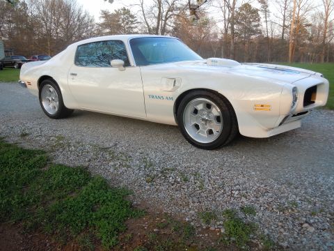 1973 Pontiac Firebird photo