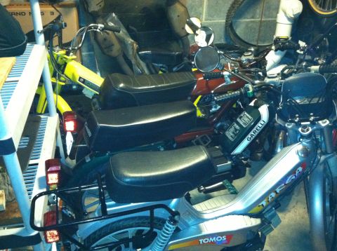 1999 Tomos Targa - A collection of mopeds are stored together in an indoor space, with one clearly marked 'GARELLI'.