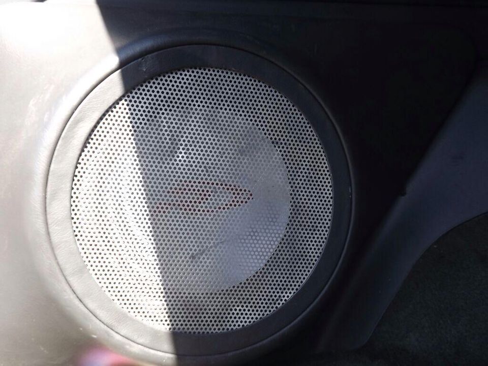 Car door speaker with perforated metal grille, partially in shadow