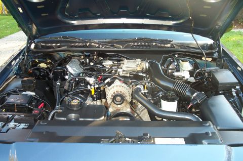 1998 Ford Crown Victoria - A large picture of the recently detailed engine, minus it's cover.