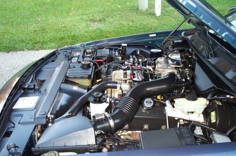 1998 Ford Crown Victoria - Another large engine pic.