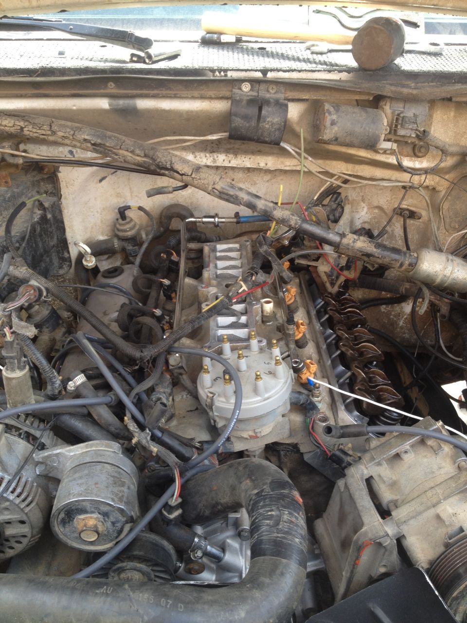 Engine bay with distributor cap, spark plug wires, and hoses visible