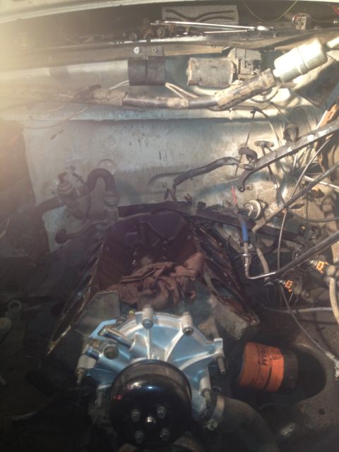 1992 Ford Bronco - The engine bay shows a newly installed water pump and various hoses and wiring. The year is not discernible.