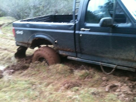 1994 Ford F-150 - A dark 1994 Ford F-150 is stuck in the mud, with its rear tire deeply embedded.