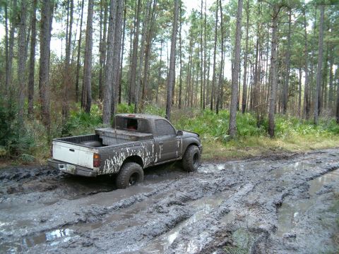 1991 Ford Bronco - Waiting.....