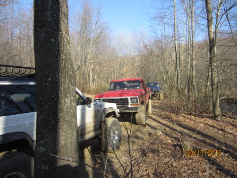 1979 Ford Bronco - A red 1979 Ford Bronco leads a convoy of off-road vehicles through a wooded area.