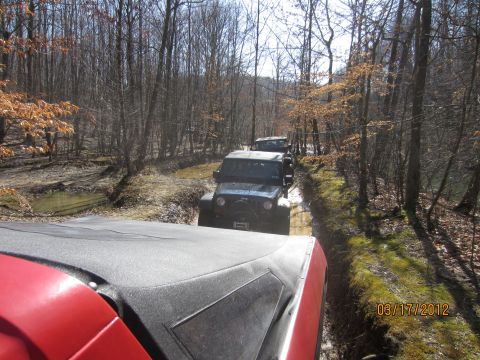 1979 Ford Bronco - Multiple Jeeps navigate a wet, wooded path on an off-road trail. Date stamp visible.