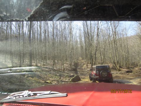 1979 Ford Bronco - A red Jeep Wrangler navigates a wooded trail, seen from the perspective of the vehicle behind it.