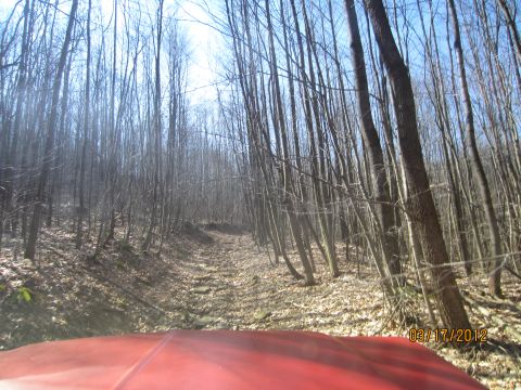 1979 Ford Bronco - Driving through a dense forest on a rocky, leaf-strewn path.