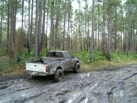 1991 Ford Bronco - ....