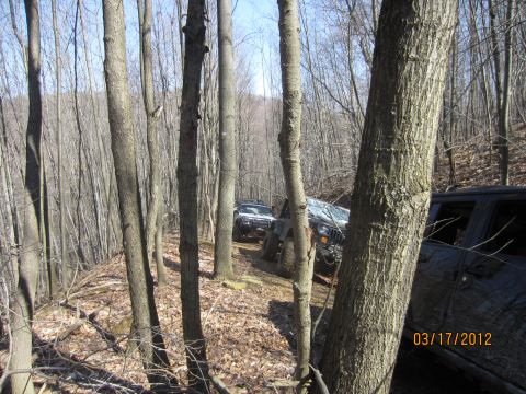 1979 Ford Bronco - Multiple Jeeps navigate a narrow, wooded trail on a sunny day, as indicated by the date stamp 03/17/2012.