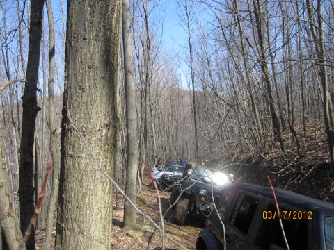 1979 Ford Bronco - Multiple off-road vehicles navigate a wooded trail on a sunny day. The date 03/17/2012 is visible.