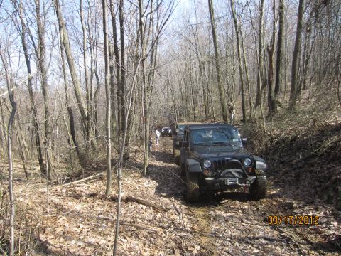 1979 Ford Bronco - Several Jeeps navigate a wooded trail, with the lead vehicle prominently displayed on the muddy path.
