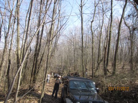 1979 Ford Bronco - Off-road vehicles driving on a trail in a wooded area. The date 03/17/2012 is visible.