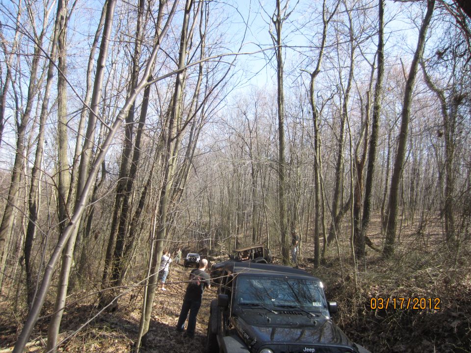 Several off-road vehicles navigate a muddy trail through a dense forest. Date stamp reads 03/17/2012