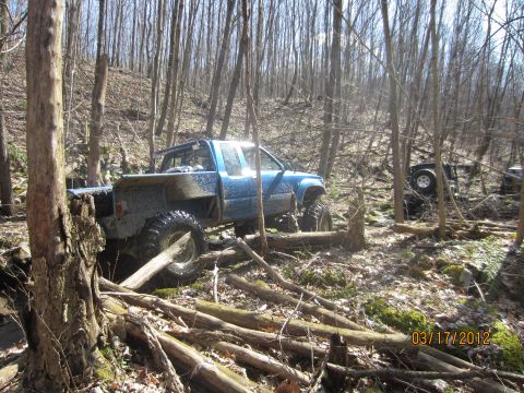 1979 Ford Bronco - A blue pickup truck navigates a wooded trail with fallen logs, while another off-road vehicle is seen in the distance.