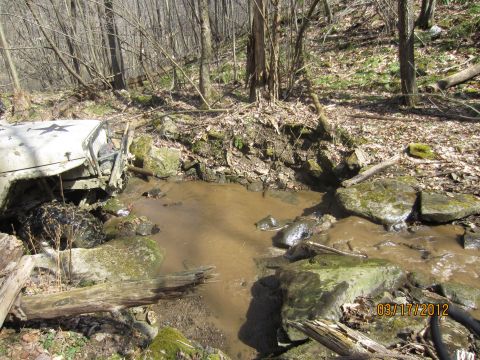 1979 Ford Bronco - This vehicle appears to be stuck in a creek, with trees and rocks surrounding it.