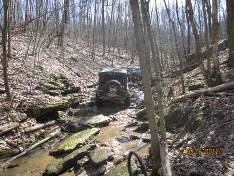 1979 Ford Bronco - Off-roading Jeeps traverse a challenging rocky stream in a dense forest.