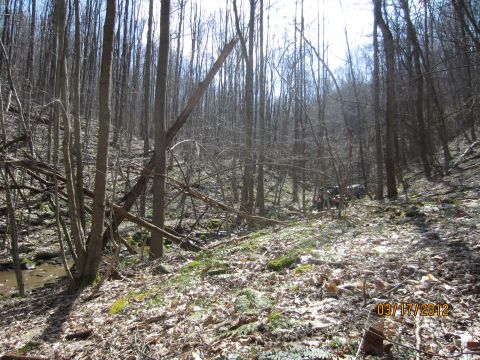 1979 Ford Bronco - Two ATVs navigate a wooded trail, with a stream visible on the left and fallen branches scattered across the ground.