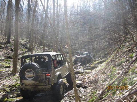1979 Ford Bronco - Two off-road vehicles are seen traversing a challenging, rocky path through a dense forest.