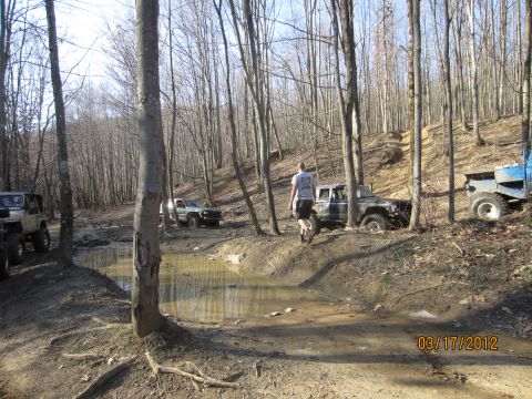 1979 Ford Bronco - Several off-road vehicles are seen traversing a muddy path through a dense forest on a sunny day, with a date watermark visible.