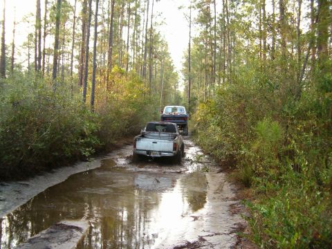 1991 Ford Bronco - Toyota on the rope.