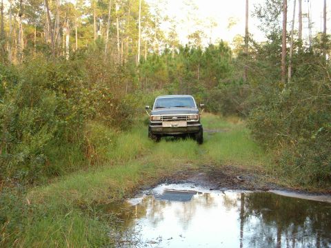 1991 Ford Bronco - My rig looking good