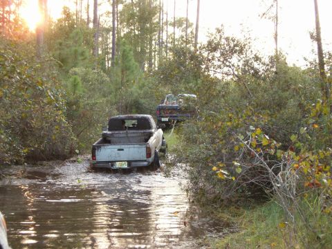 1991 Ford Bronco - Two trucks navigate a wet, overgrown trail with the sun setting through the trees.