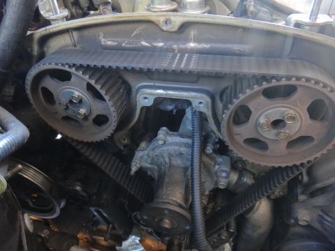 1993 Ford Taurus - Engine timing belt and water pump assembly detail.