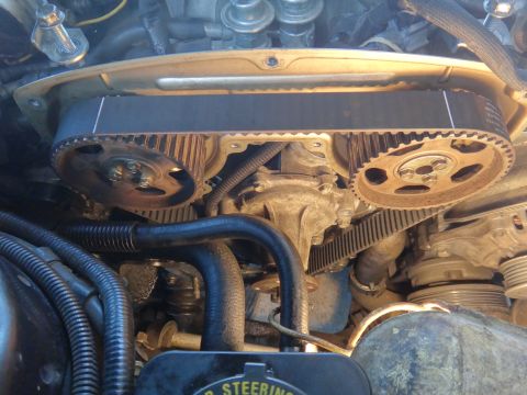 1993 Ford Taurus - The engine's timing belt and associated pulleys are visible in this close-up mechanical view.