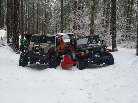1994 Ford Bronco - Several Jeeps are gathered in a snow-covered forest, with people interacting around the vehicles.