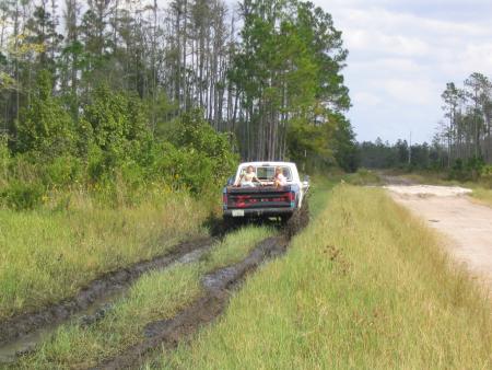 1991 Ford Bronco - A truck navigates a muddy trail surrounded by vegetation under a cloudy sky.