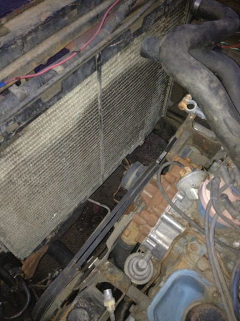 1969 Ford F-250 - The engine bay features a radiator, hoses, and belts, with visible engine components.