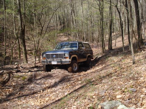 1985 Ford Bronco - A 1985 Ford Bronco navigates a wooded trail, kicking up dirt and leaves.