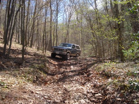 1985 Ford Bronco - A 1985 Ford Bronco navigates a challenging dirt path through a dense forest.