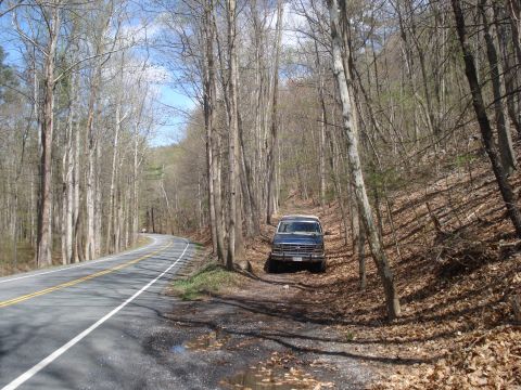 1985 Ford Bronco - A blue van, likely from 1985, is parked on the side of a road in a forest.