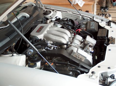 1998 Ford Taurus - 10/2003