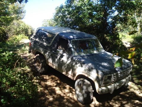 1985 Ford Bronco - This 1985 Ford Bronco navigates a wooded trail, its build evident as it kicks up dust.